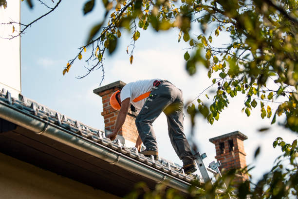 Best Affordable Roofing Company  in Wrightsville, GA